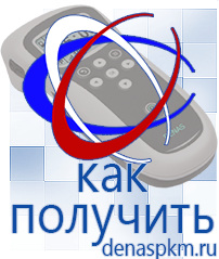 Официальный сайт Денас denaspkm.ru Выносные электроды Дэнас-аппликаторы в Благовещенске